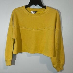 NWT (Nordstrom Tag Only) Truce Crop Sweatshirt